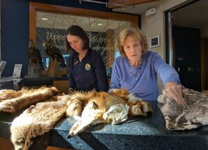 Friends of the Refuge — Mississippi River Pools 7 & 8 volunteers organize furs and skulls of animals found at the refuge,