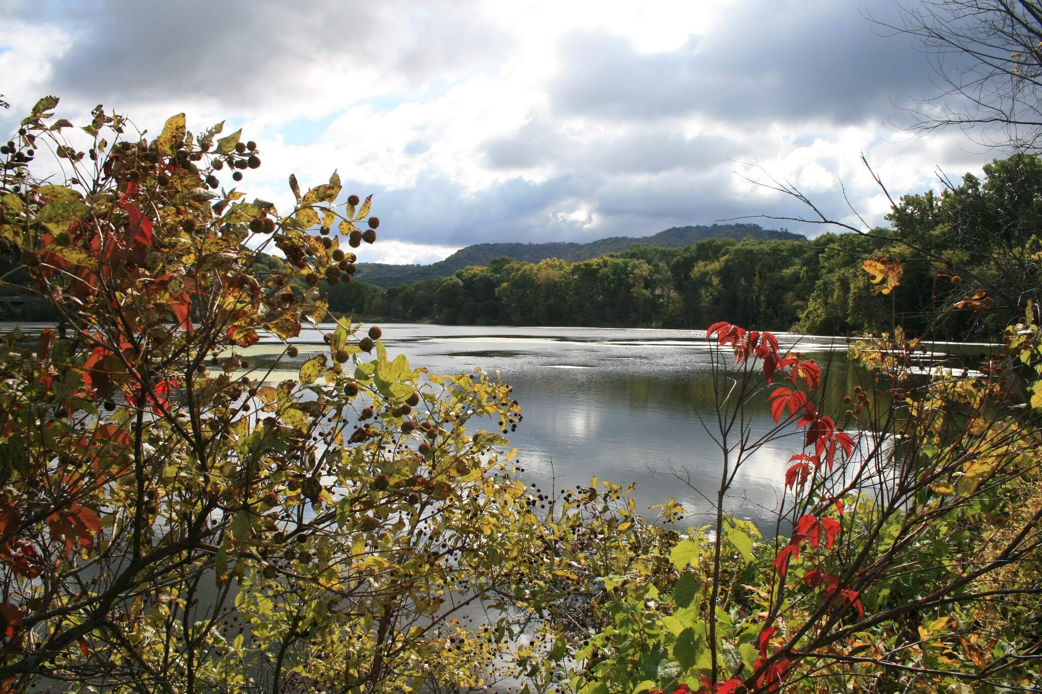 Donor advised fund holders find greater benefits housing them at a local community foundation, depicted here with a photo of a La Crosse marsh in the fall.